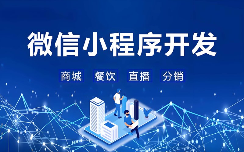 ERP系统的开发与实施:实战攻略
